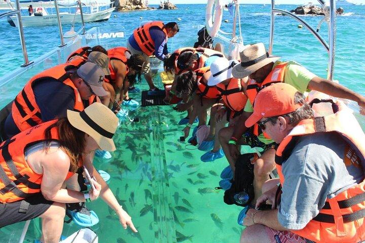 Clear Boat Ride in Los Cabos