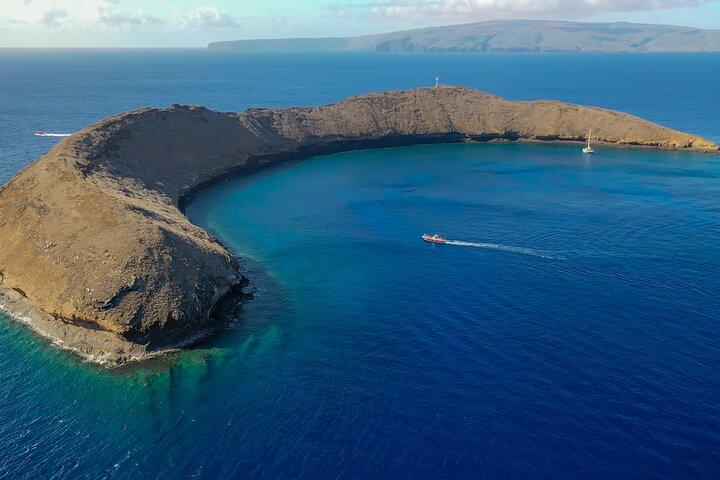 Maui: Molokini Crater and Turtle Town Snorkeling From Kihei