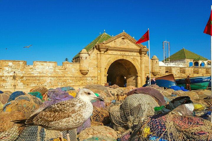 Private Day Trip to Essaouira and Argan Forest from Marrakech