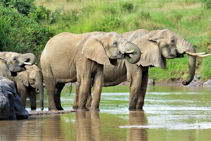 8-Day Cultural Tour and Wildlife Holiday n Kenya