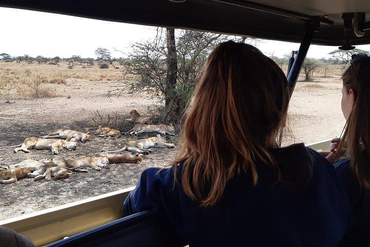 4-Day Private Luxury Safari: Tarangire, Serengeti & Ngorongoro