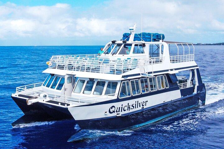 Maui Whale Watching Tour Aboard the Quicksilver From Maalaea