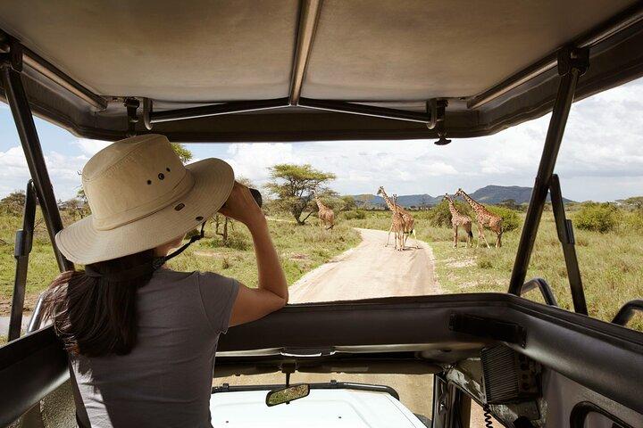 9 Days Migration Safari Tanzania Budget