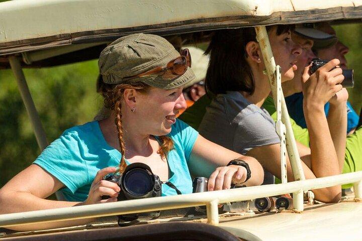 9 Days Migration Safari Tanzania Budget