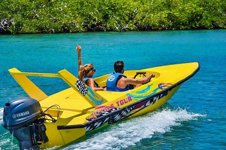 Mangrove Jungle Speedboat Experience