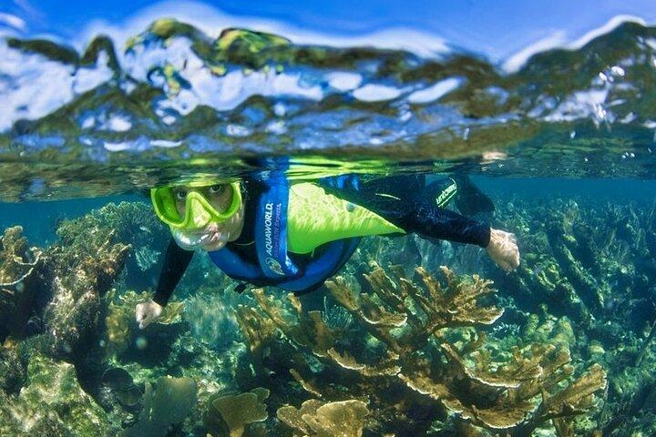 Nizuc Reef Snorkel Experience