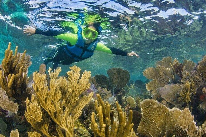 Nizuc Reef Snorkel Experience
