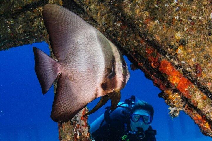 Refresher scuba diving trip, 3 dives at Racha Noi and Racha Yai