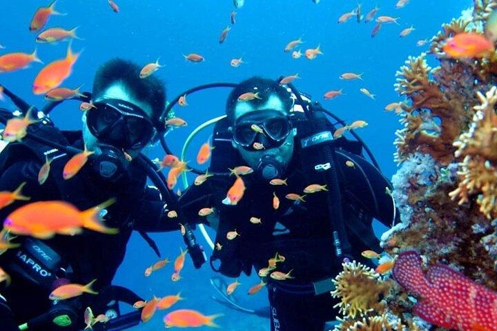 Scuba Diving Tour