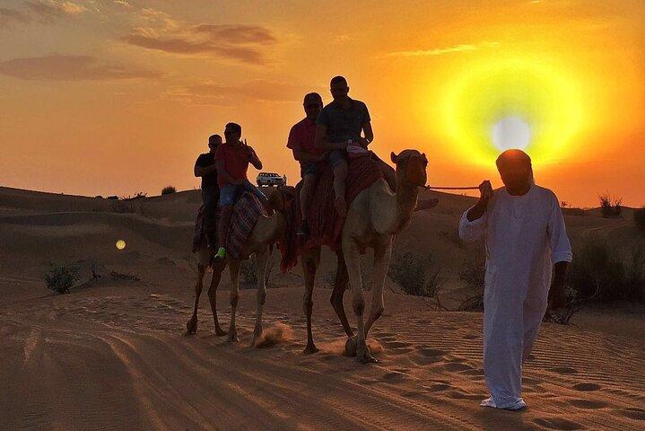 Sunset Camel Ride with Sandboarding and Lavish BBQ Dinner Buffet