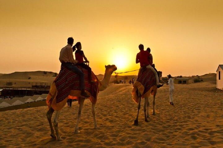 Sunset Camel Ride with Sandboarding and Lavish BBQ Dinner Buffet