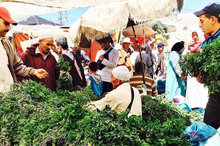 Morocco's Top Cooking Classes For Authentic berber Cuisine in the Atlas Mountain