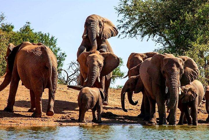6 Days Safari Wildlife and Culture Tour