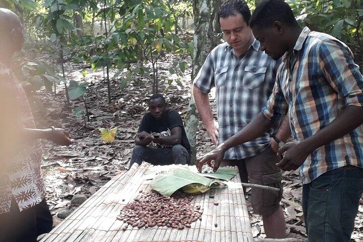 Cocoa Trail