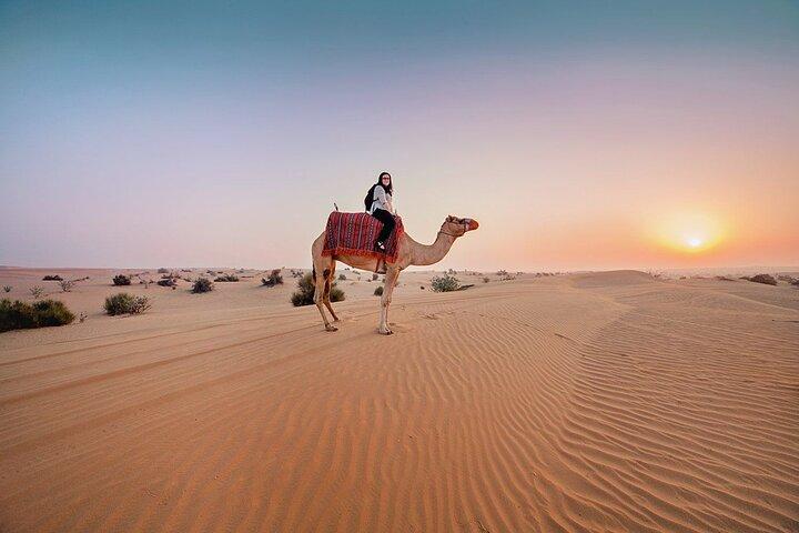 Red Dunes 4x4 Dubai Desert Safari