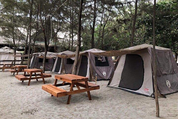 4 Day Camping Safari Arusha - Tarangire, Serengeti & Ngorongoro