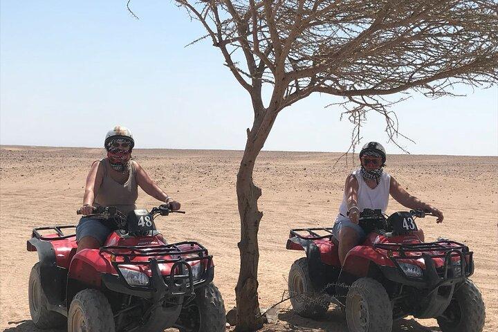 Camel ride & Bedouin dinner quad safari in Sharm el Sheikh