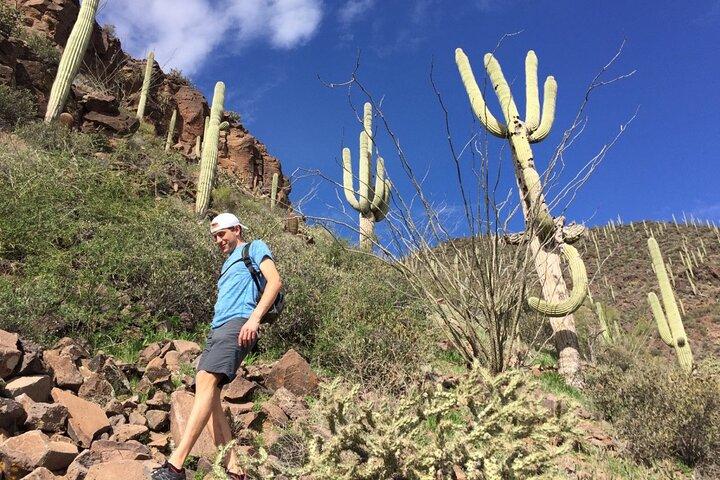 Scottsdale Desert Classic Guided Hiking Adventure