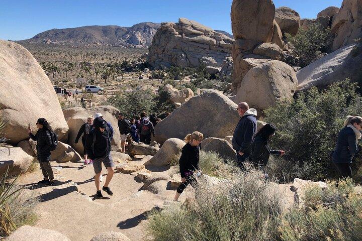 Joshua Tree National Park Paved Road Tour