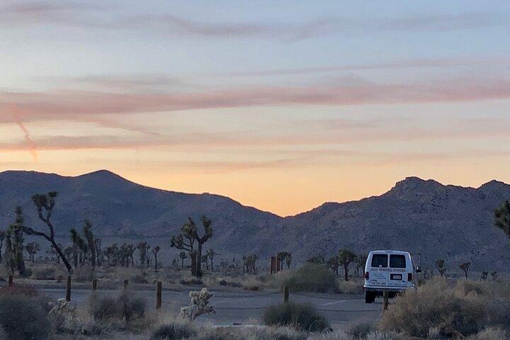 Joshua Tree National Park Paved Road Tour