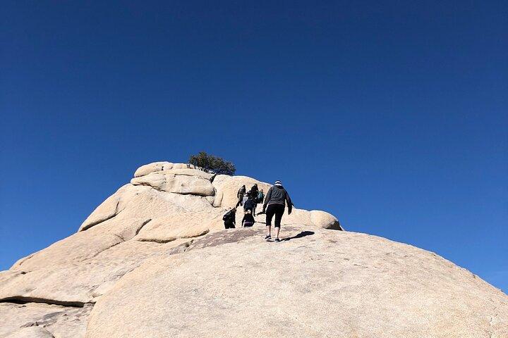 Joshua Tree National Park Paved Road Tour