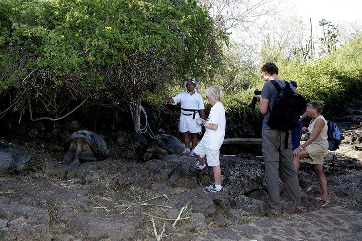 Galapagos Intensive 5 days, land base (3Islands) Excludes galapagos flight