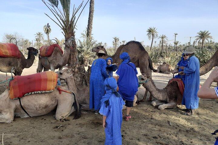 Camel ride Marrakech
