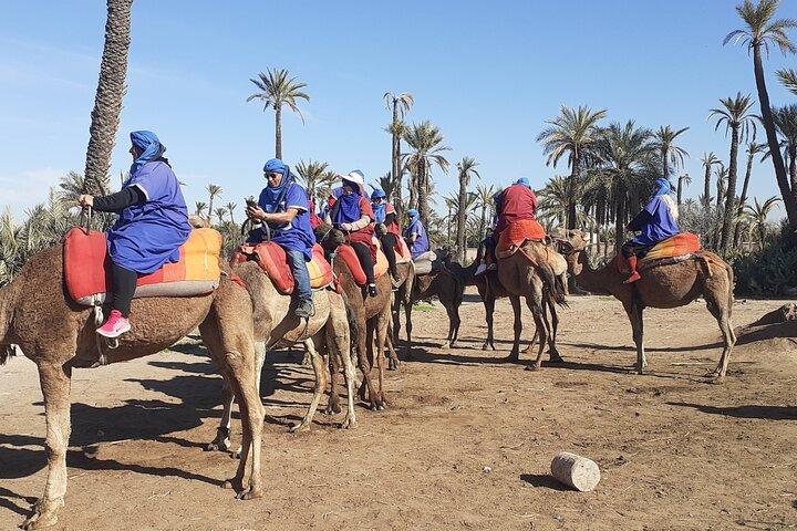 Camel ride Marrakech