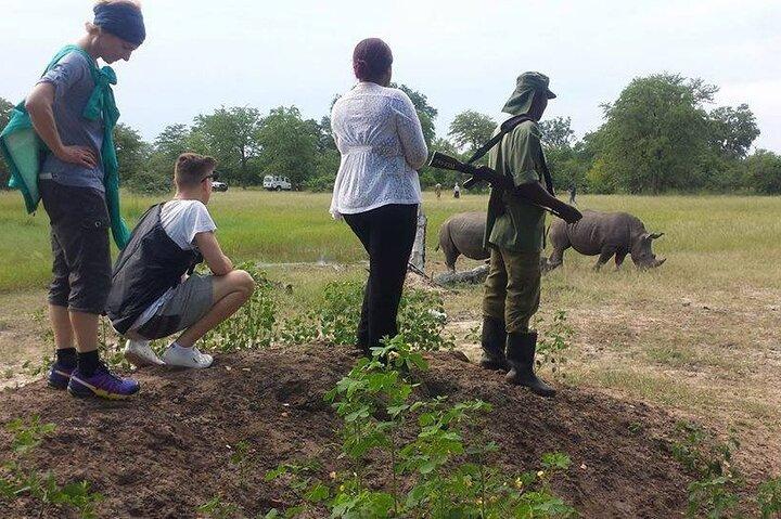Safari Game Drive & Rhino Walks In The Mosi-oa-Tunya National Park