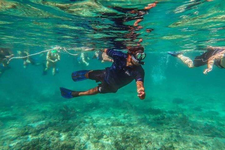 Snorkeling Experience in Cancun - Hands Underwater Museum