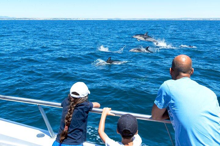 Dolphin Watching and Cave Boat Cruise from Albufeira