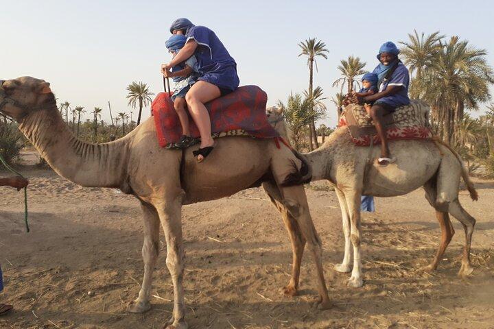 Camel Ride & Quad Bike tours in the palm grove of Marrakech