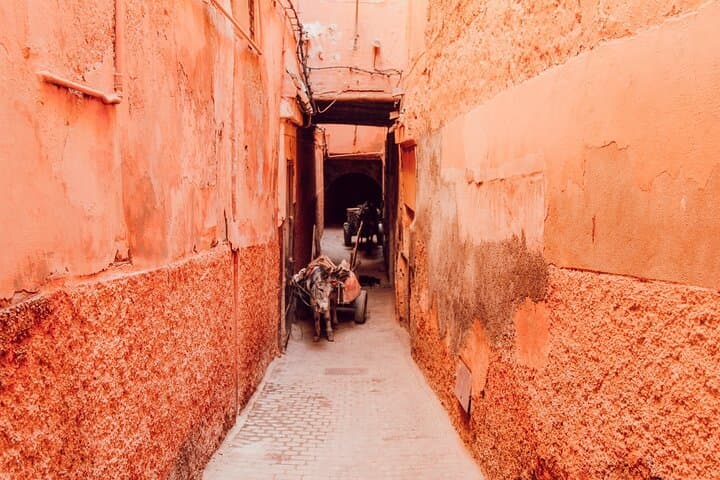 Private Walking Tour in Marrakech