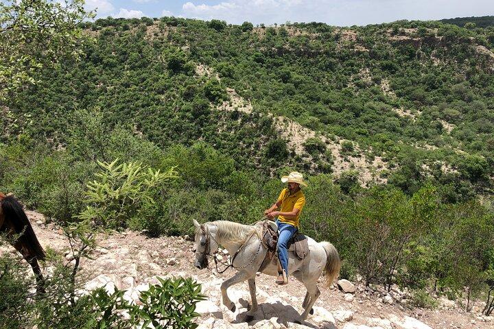 Half Day Excursion - Horseback Riding Adventure in SMA