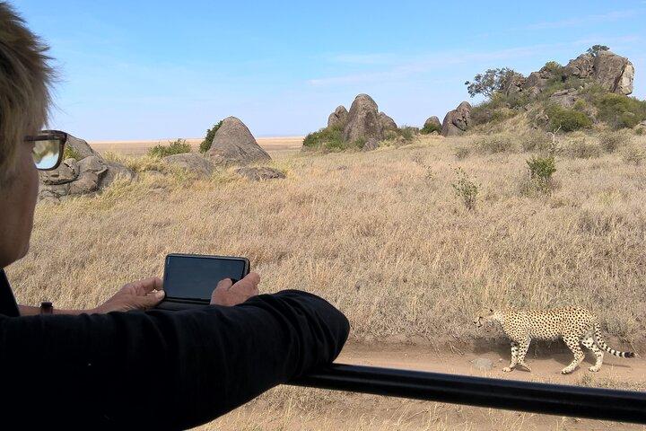 4-Day Safari to Tarangire, Serengeti and Ngorongoro from Arusha - Join a group