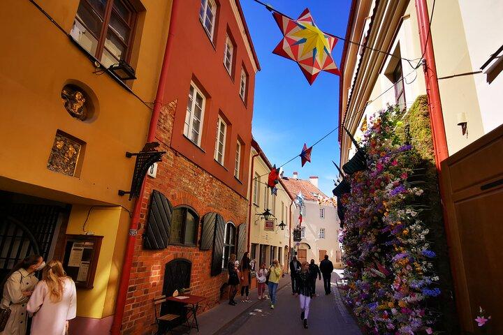 Vilnius Old Town and Užupis Republic - Private Walking Tour