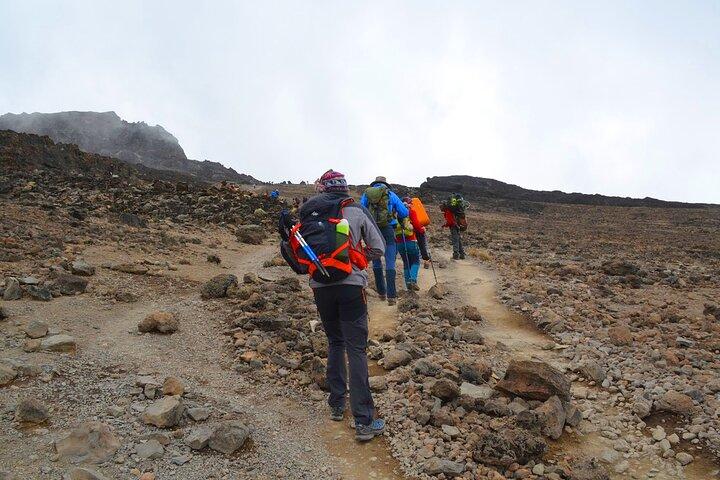 8-Day Mount Kilimanjaro Hiking Tour from Arusha