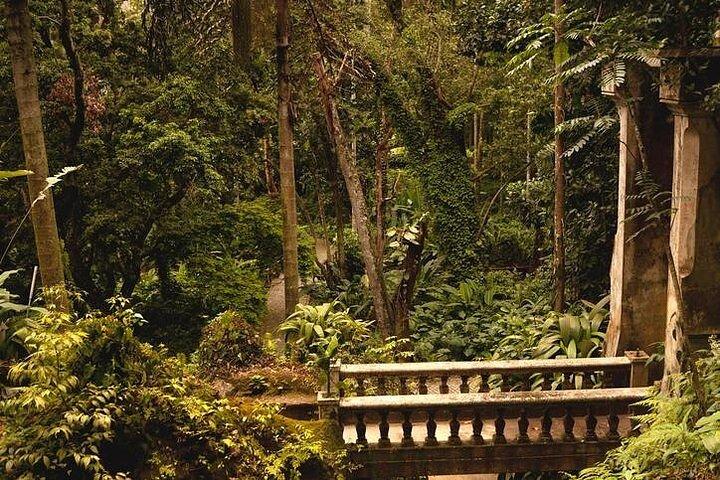 6-Hour Private Guided Tour in Rio de Janeiro