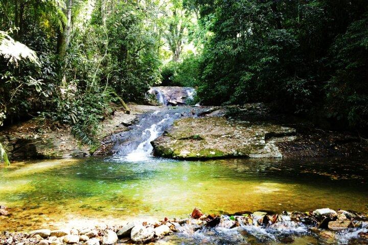 Guided Tour in Tijuca Forest with transfer