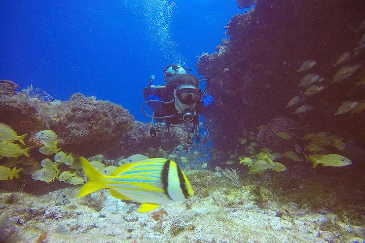 2 Tanks Scuba Diving in Punta Cancun Reefs for Certified Divers