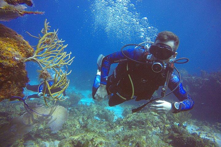 2 Days Class: SDI Open Water Diver Certification in Cancun
