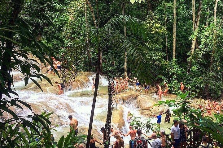 Dunn's River Falls & Blue Hole Tour from Montego Bay