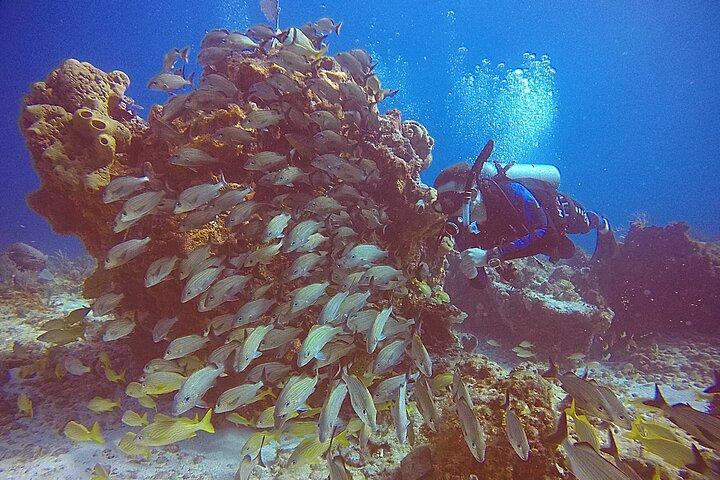 2 Tanks Scuba Diving in Punta Cancun Reefs for Certified Divers