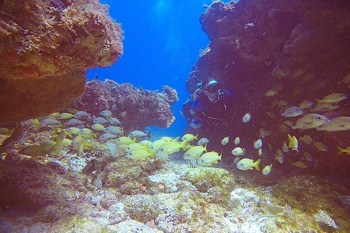 2 Tanks Scuba Diving Wreck and Reef in Cancun for Certified Divers