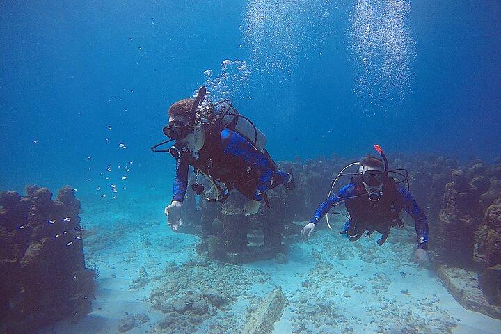 2 Days Class: SDI Open Water Diver Certification in Cancun