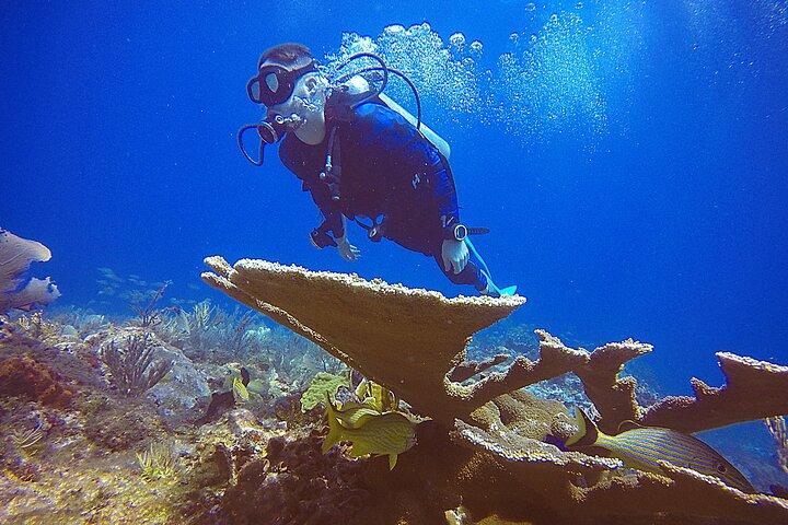 2 Days Class: SDI Open Water Diver Certification in Cancun