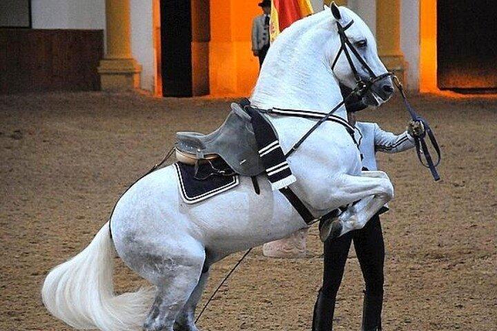 Jerez Historic Guided Tour with Horse Show