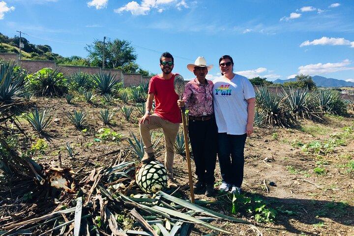 Tequila: Private Half-Day Tour