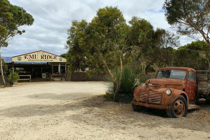 One Day Kangaroo Island Sip & See tour with return ferry transfers from Adelaide