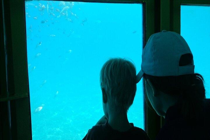 Semi-Submarine Tour from Agios Nikolaos
